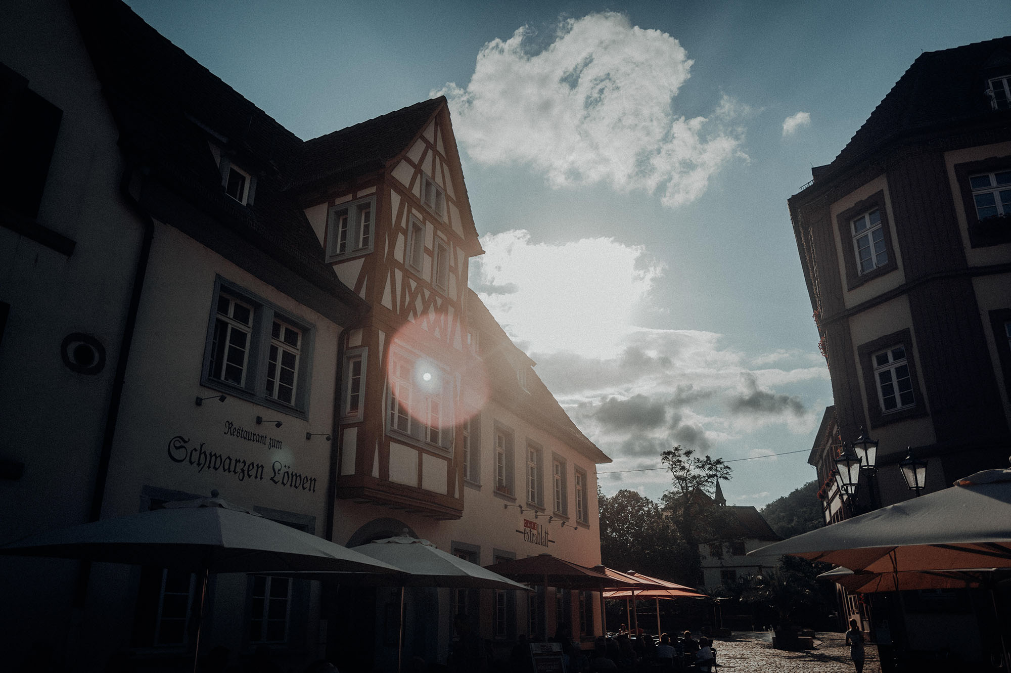 Zu Besuch bei Moritz Schleiffelder in Neustadt an der Weinstraße